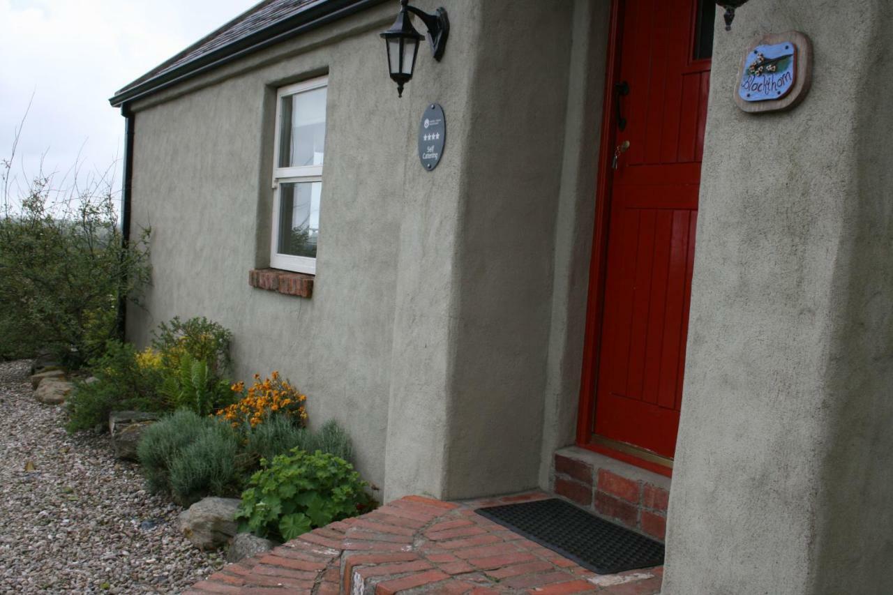 Slievemoyle Cottages Raholp Екстер'єр фото